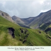 colias thisoa biotope daghestan karakoysu2